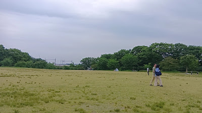 Lawn Field 사진 2