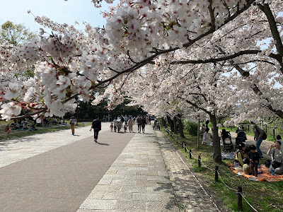 Lawn Field 사진 4