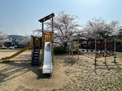 야카타 공원 사진 5
