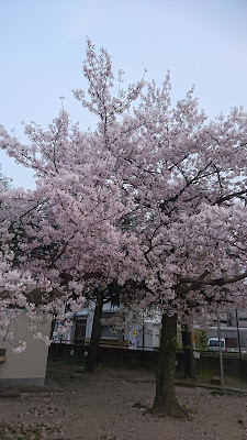 기타이와모토 아동공원 사진 4