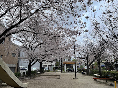 Takasegawa Shomen Children’s Park (Kikuhama Park)