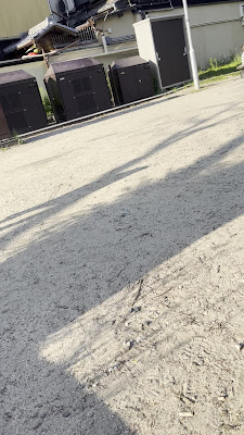 기요미즈 공원 사진 3