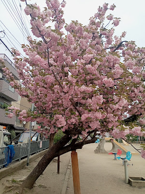아네보지로 아동공원