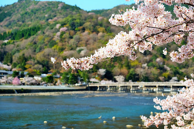 Arashiyama Park Rinsen-ji Area 사진 3