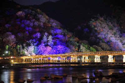 Arashiyama Park Rinsen-ji Area 사진 4
