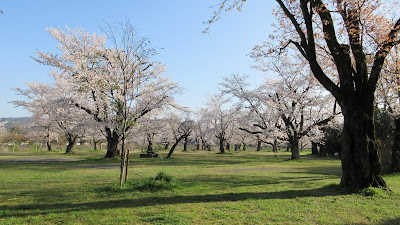 河川広場 사진 3