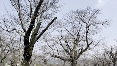 河川広場 사진 2