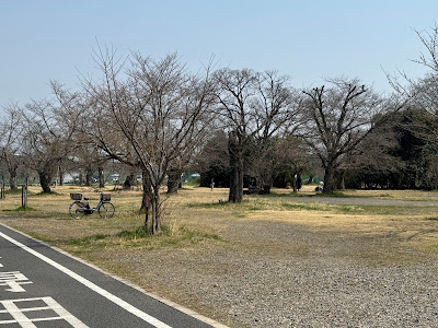 河川広場
