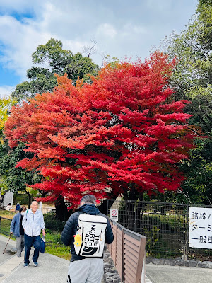 Arashiyama Nishi-Ichikawa No. 2 Park