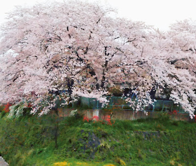 우즈마사 아동공원