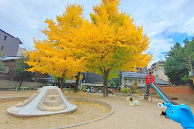 도미노코지덴 공원