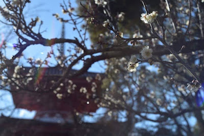 잇폰기 공원 사진 4
