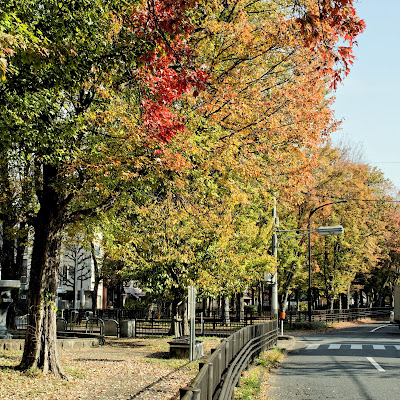 Shimei Seseragi No. 6 Park