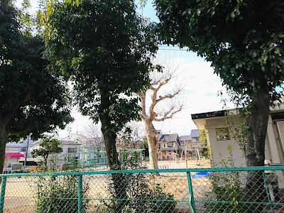 나카가와라 공원 사진 3