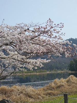 오카모토구치 아동공원
