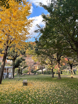 Chanokihara Park