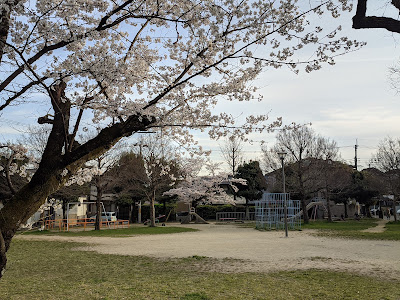 Chanokihara Park 사진 4