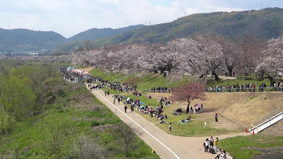 세와리테이 사진 2