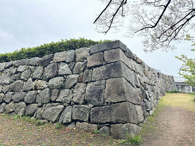 Yodo Castle Ruins 사진 4