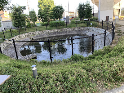馬ノ池跡 사진 3