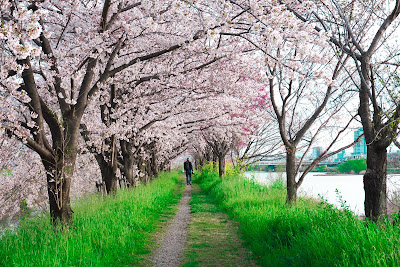 Katsuragawa Ryokuchi Park