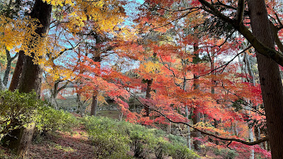 勅使坂 사진 3