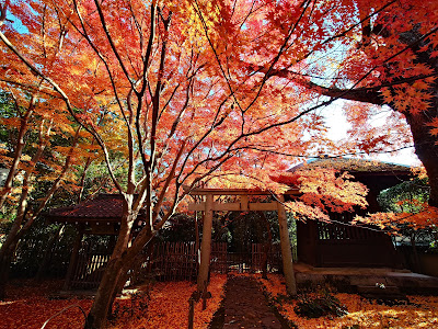 Renge-ji Temple 사진 4