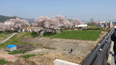 고코바시 다리 사진 2