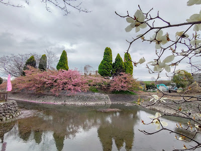 Sakurabashi 사진 5