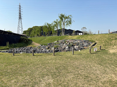 Stone Groyne (Ishidashi) Surrounded by Tea Plantation 사진 3