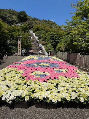 Hydrangea Stairs at Mimurotoji Temple 사진 3