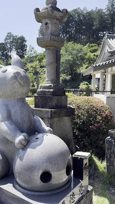 Hydrangea Stairs at Mimurotoji Temple 사진 2