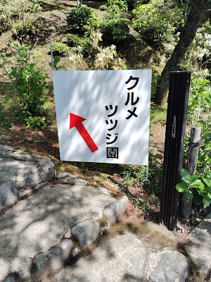 久留米つつじ園 사진 5