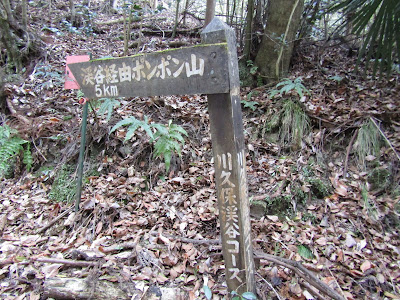 Kawakubo Canyon 사진 4