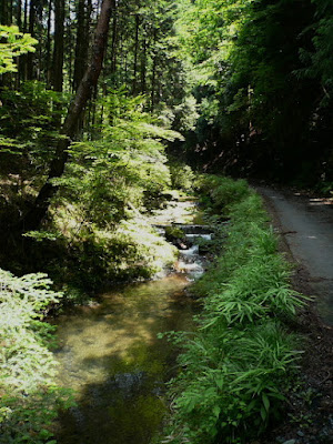 Kawakubo Canyon 사진 3