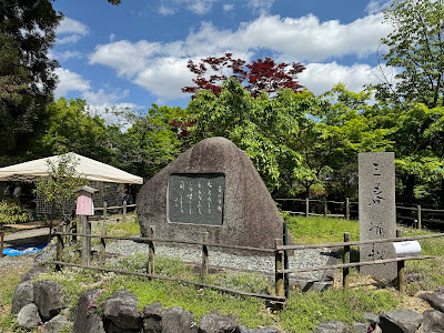 三春滝桜