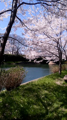 Fushimi Minato Square 사진 2