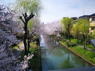 Horai Bridge 사진 4
