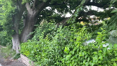 角倉了以水利紀功碑 사진 2