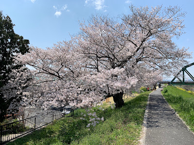 Ogura Dyke