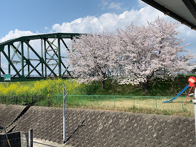 Ogura Dyke 사진 5