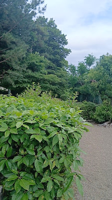 다이코묘지 릉(광명천황릉) 사진 2