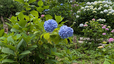 御香水井戸 사진 3
