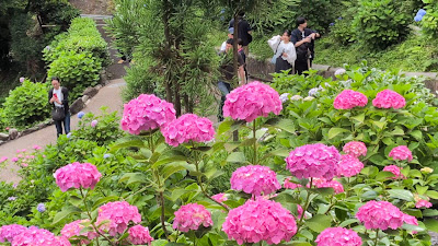 御香水井戸 사진 4