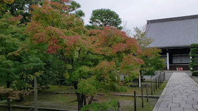광명사 사진 2