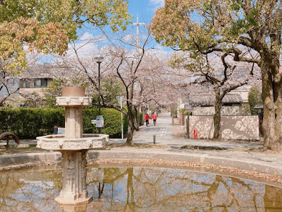 桜の径