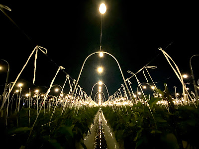 BNR Farm