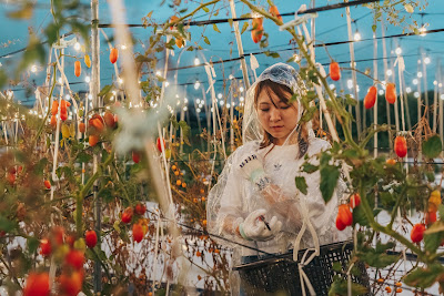 BNR Farm 사진 4