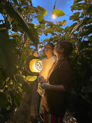 BNR Farm 사진 3