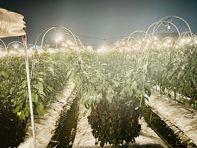 BNR Farm 사진 5
